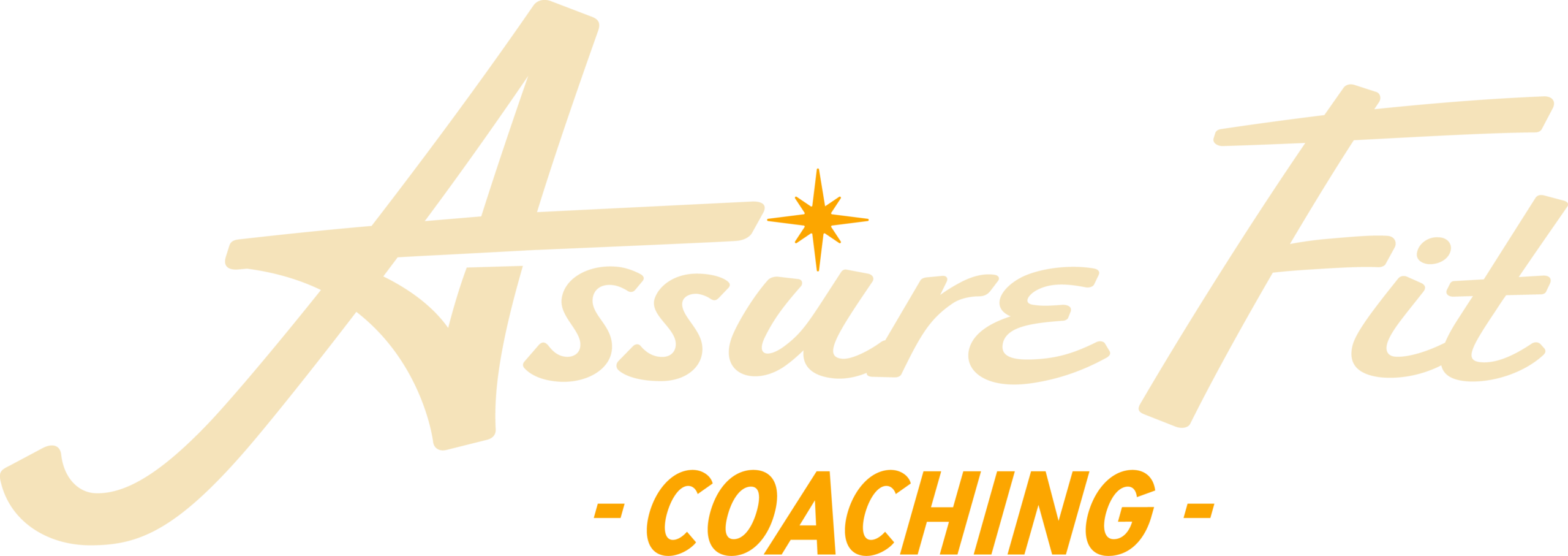 AssureFit_Logo